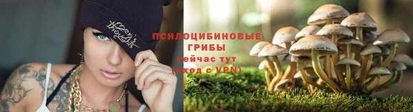 кокаин премиум Осинники